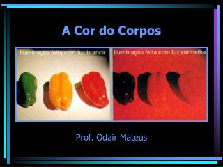 A Cor do Corpos