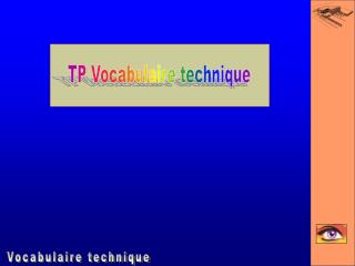 TP Vocabulaire technique