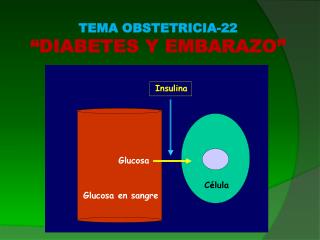 TEMA OBSTETRICIA-22 “DIABETES Y EMBARAZO”