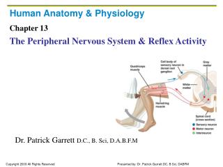 Human Anatomy &amp; Physiology