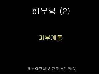 해부학 (2) 해부학교실 손현준 MD PhD