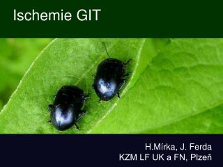 Ischemie GIT