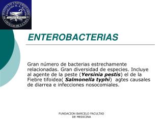 ENTEROBACTERIAS