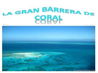 La gran barrera de coral