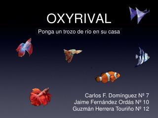 OXYRIVAL