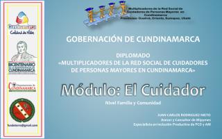 GOBERNACIÓN DE CUNDINAMARCA DIPLOMADO