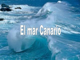 El mar Canario