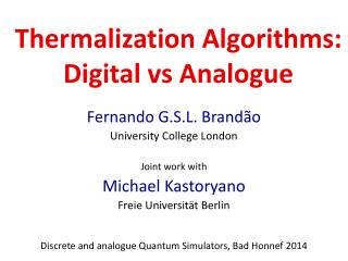Thermalization Algorithms : Digital vs Analogue