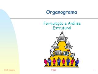 Organograma