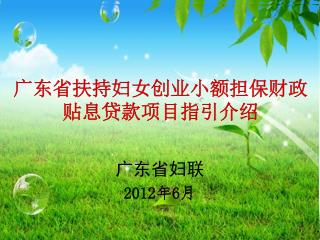 广东省扶持妇女创业小额担保财政 贴息贷款项目 指 引介绍
