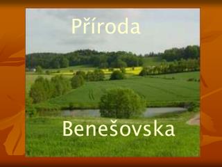 Příroda