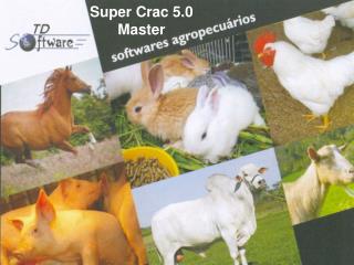 Super Crac 5.0 Master