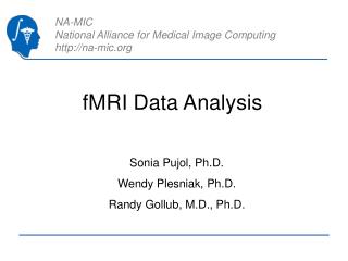 fMRI Data Analysis