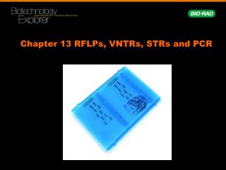 Chapter 13 RFLPs, VNTRs, STRs and PCR