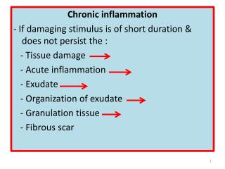 Chronic inflammation - If damaging stimulus is of short duration &amp; does not persist the :