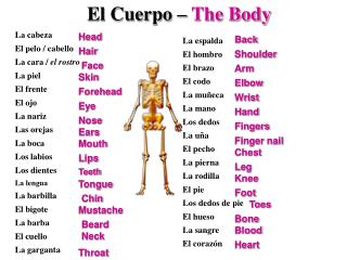 El Cuerpo – The Body