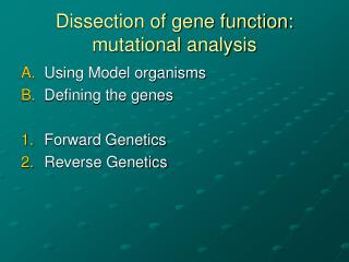 Dissection of gene function: mutational analysis