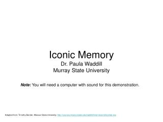 Iconic Memory Dr. Paula Waddill Murray State University