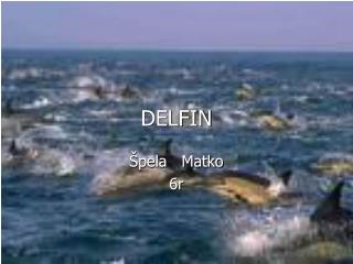 DELFIN