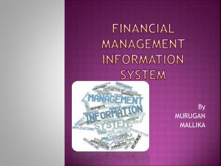 FINANCIAL MANAGEMENT INFORMATION SYSTEM