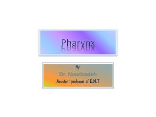 Pharynx