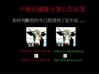 如果您的牛叫起來的聲音像 那麼本署建議您改吃生魚片