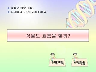 식물도 호흡을 할까 ?