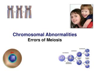 Chromosomal Abnormalities Errors of Meiosis