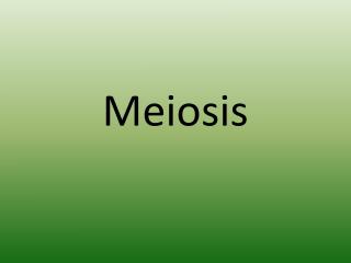 Meiosis