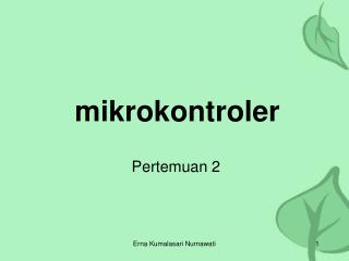 mikrokontroler