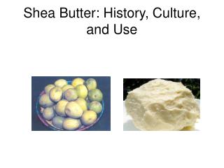 Shea Butter: History, Culture, and Use