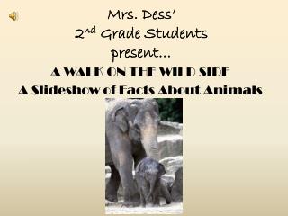 Mrs. Dess ’ 2 nd Grade Students present…