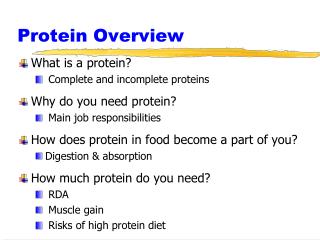 Protein Overview