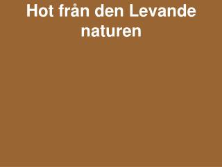 Hot från den Levande naturen