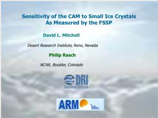 Sensitivity of the CAM to Small Ice Crystals As Measured by the FSSP