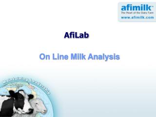 On Line Milk Analysis