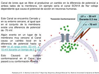 Transición Conformacional