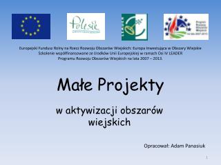 Małe Projekty