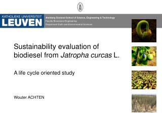 Sustainability evaluation of biodiesel from Jatropha curcas L.