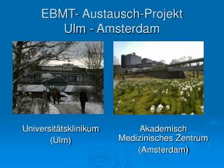 EBMT- Austausch-Projekt Ulm - Amsterdam