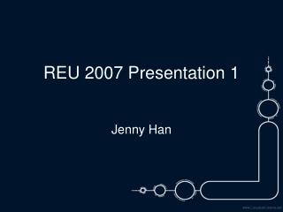 REU 2007 Presentation 1