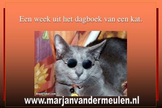 Een week uit het dagboek van een kat.