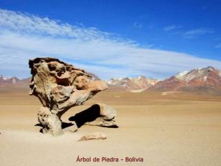 Árbol de Piedra - Bolivia