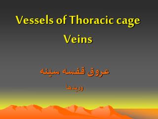Vessels of Thoracic cage Veins
