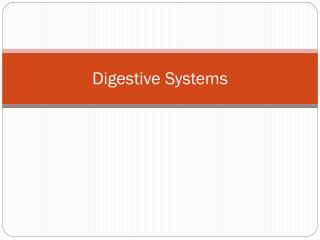 Digestive Systems