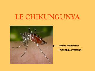 LE CHIKUNGUNYA