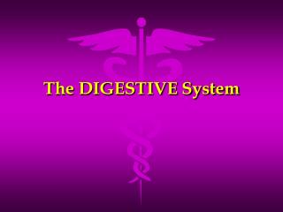 The DIGESTIVE System