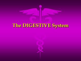 The DIGESTIVE System