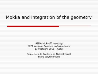 Mokka and integration of the geometry