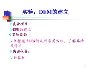 实验： DEM 的建立